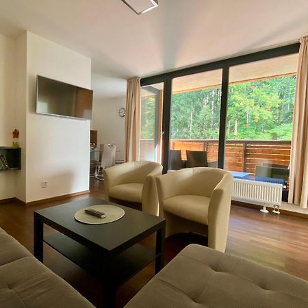 Útulný apartmán v blízkosti Mumlavských vodopádů Harrachov Esterno foto
