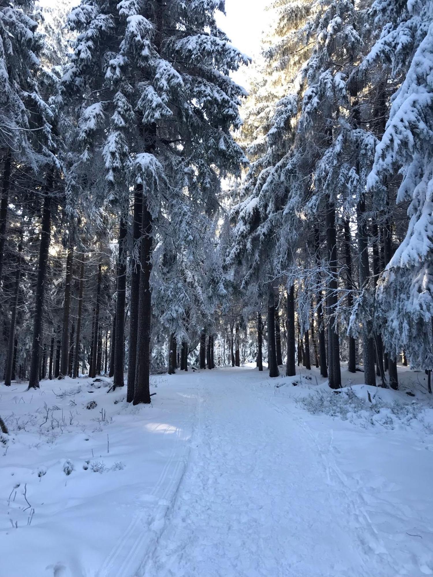 Útulný apartmán v blízkosti Mumlavských vodopádů Harrachov Esterno foto