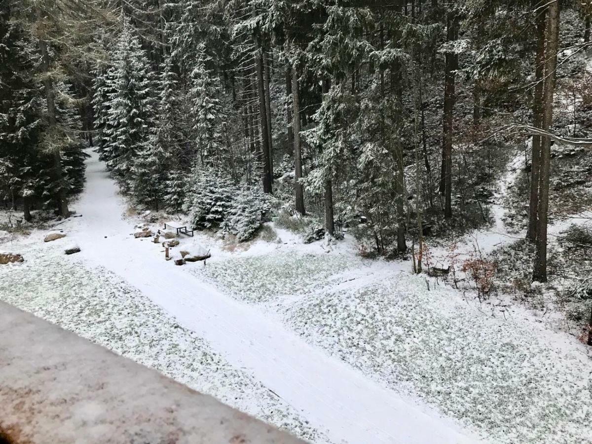Útulný apartmán v blízkosti Mumlavských vodopádů Harrachov Esterno foto